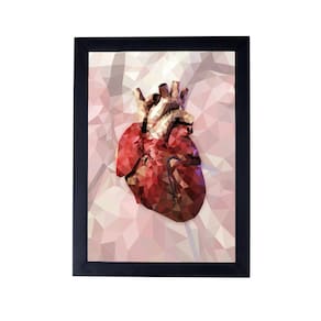 Quadro 24X33 abstrata medicina coração anatomia P8425