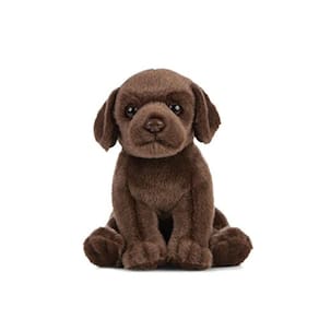 Filhote de cachorro de chocolate de chocolate da natureza viva, brinquedo de cachorro macio realista, 6 polegadas