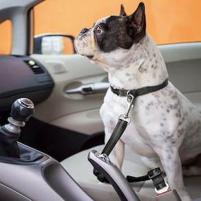 Cinto De Segurança Carro Guia Adaptador Encaixe Universal Du