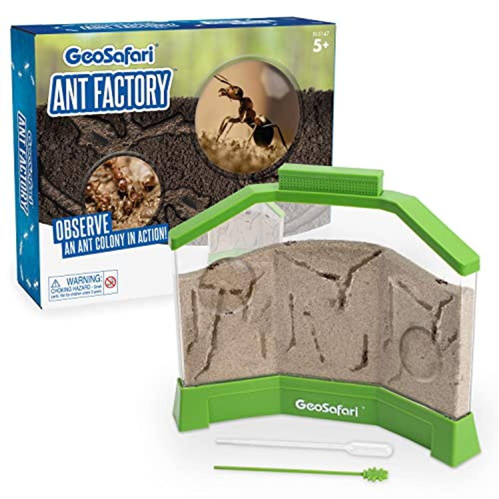 Insights Educacionais GeoSafari Ant Factory with Sand, Watch Live Ants, STEM Learning Toy, Idades 5+