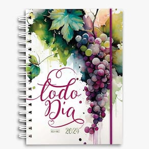 Agenda Todo Dia 2024 - Wire-o (Capa Dura)