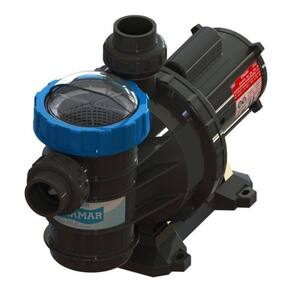 Bomba Centrífuga Para Piscina Sodramar Bm-100 1cv 110v/220v Monofásica 12.95m³/h
