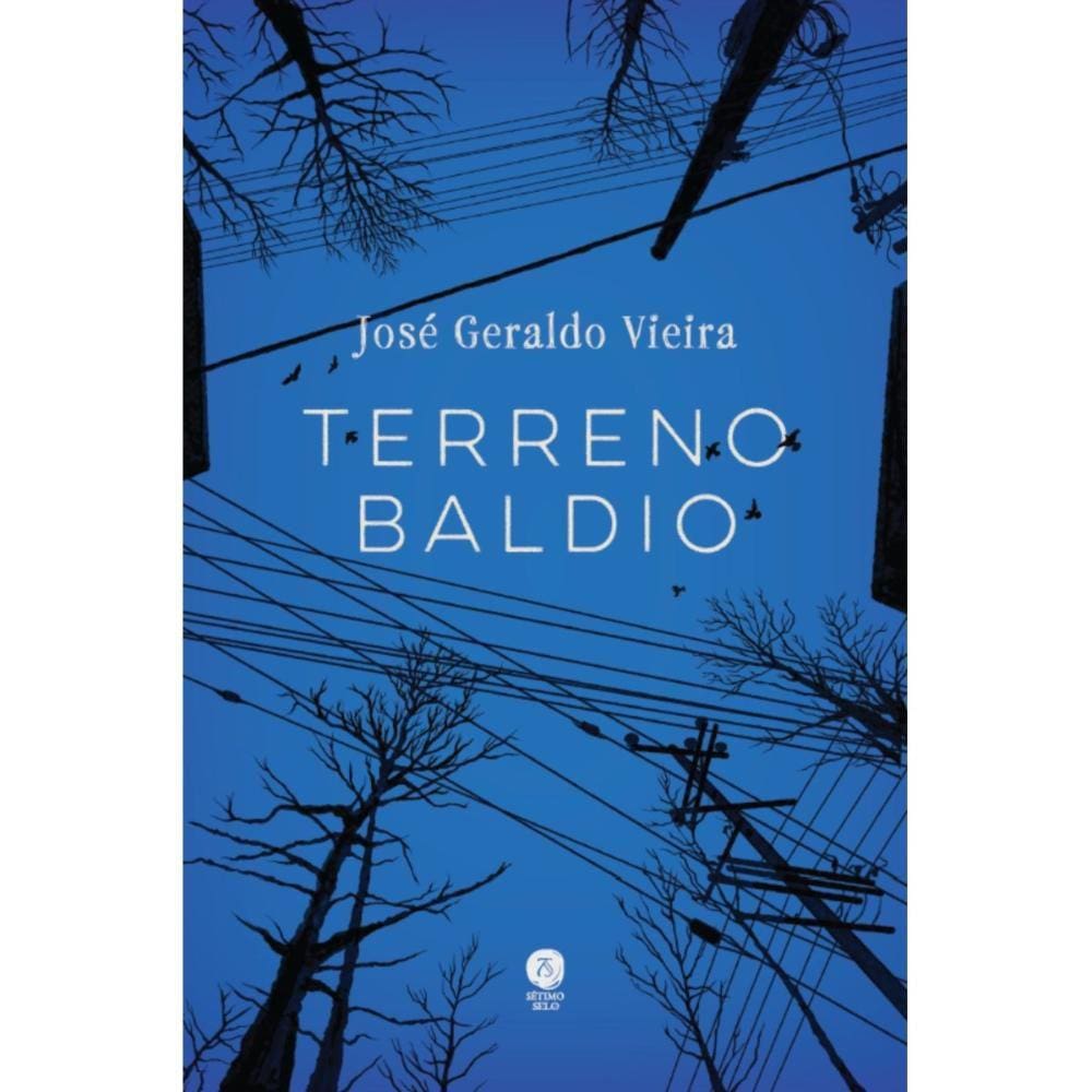 Terreno baldio ( José Geraldo Vieira )