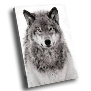 Quadro Lobo Natureza Br Artes Médio 84x54