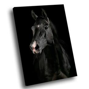 Quadro Cavalo Preto Br Artes Médio 84x54
