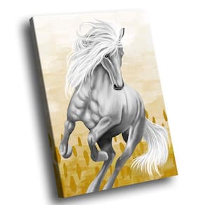 Quadro Cavalo Branco Br Artes Pequeno 60x40