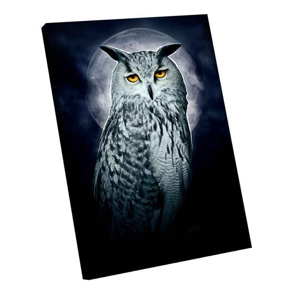Quadro Coruja Grande 118x78
