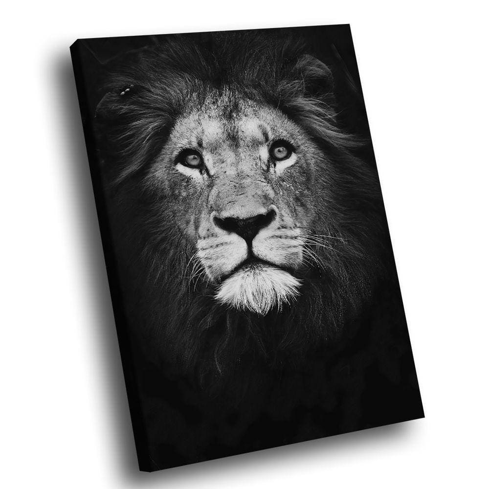Quadro Leão No Preto Br Artes Médio 84x54
