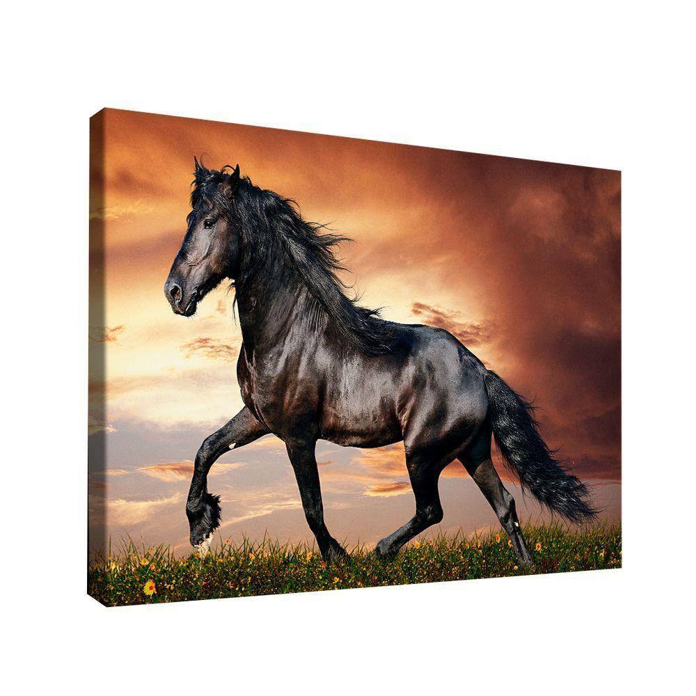 Quadro Cavalo Rei Br Artes Médio 84x54