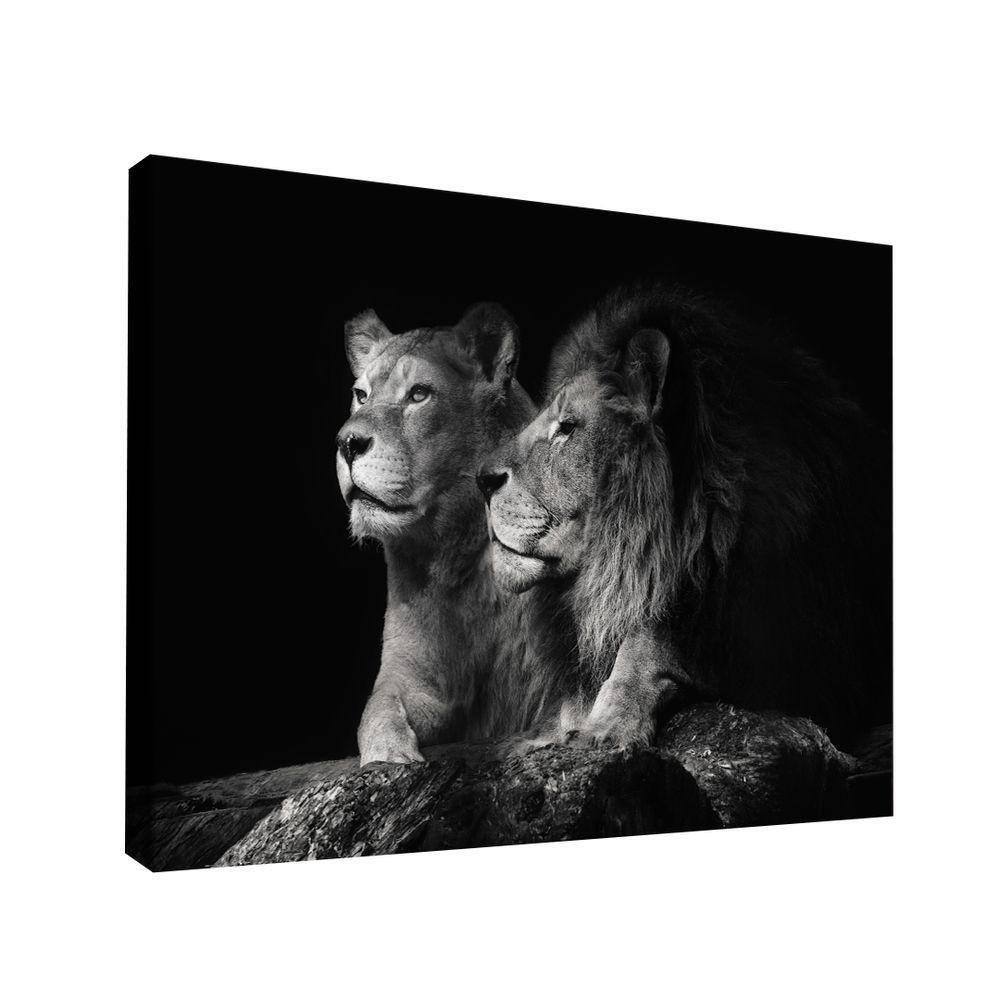Quadro Casal De Leões Br Artes Grande 118x78
