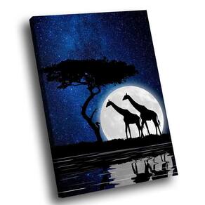 Quadro Casal De Girafas Na Noite Br Artes Grande 118x78