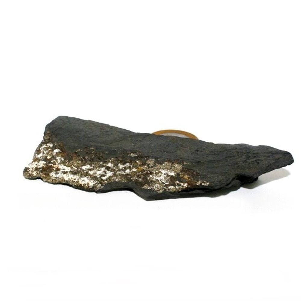 Shungite com Pirita Extra Incrustada Para Coleção 99mm 101g