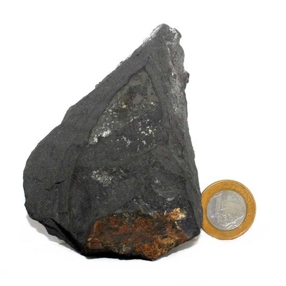 Shungite com Pirita Extra Incrustada Para Coleção 100mm 210g