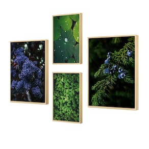 Kit 4 Quadros Verde Foto Natureza Flores Árvore Para Sala