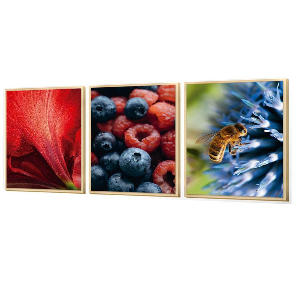 Kit 3 Quadros Decorativos Abelha Frutas Vermelho Roxo Sala
