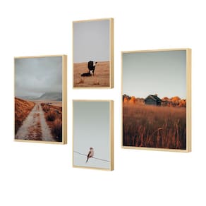 Kit 4 Quadros Decorativos Animais Campo Rustico Casa Capim