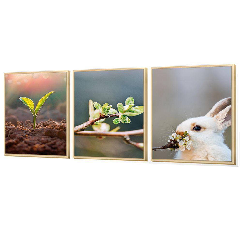 Kit 3 Quadros Decorativos Coelho Plantas Flor Escritório