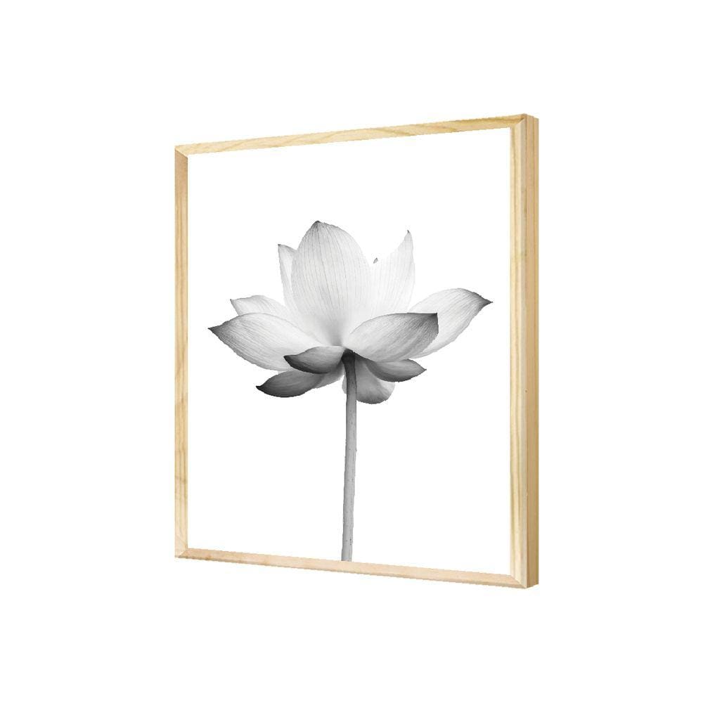 Quadro Decorativo Flor Cinza Planta Jardim Preto e Branco