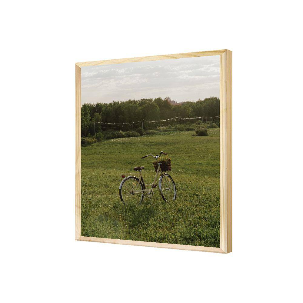 Quadro Decorativo Natureza Paisagem Grama Verde Vintage