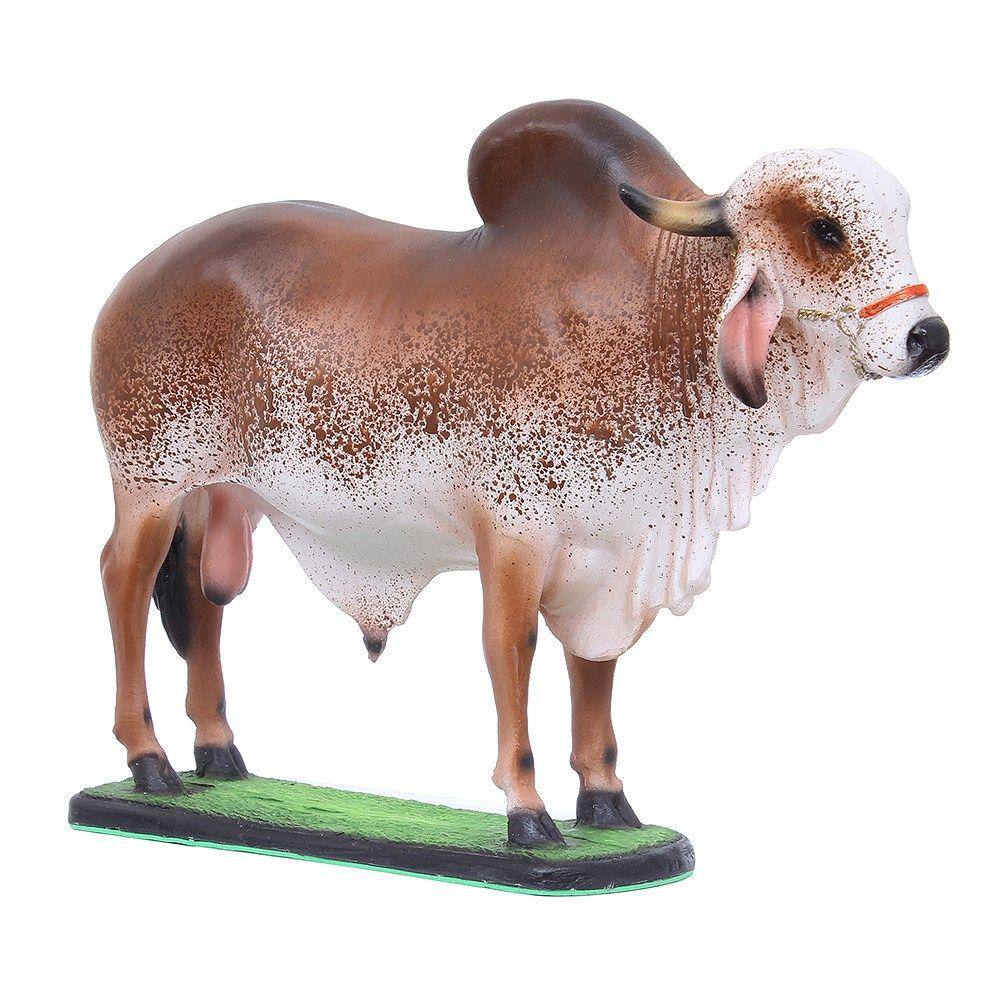 Escultura Touro Gir em Resina Home Western Decor 27502