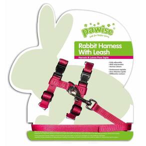 Coleira Peitoral Coelho Rosa Pawise - Conforto e Segurança