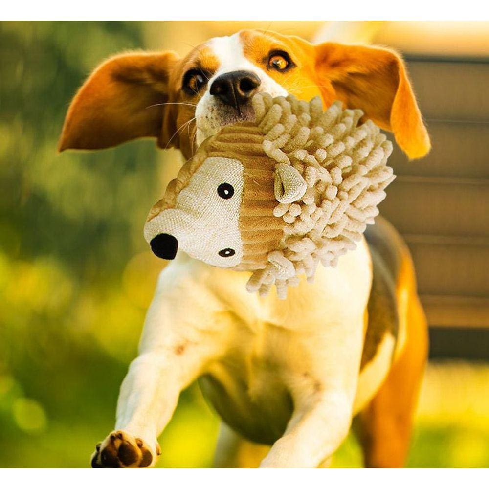 Brinquedo Para Cão Toy- Ouriço