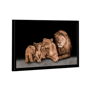 Quadro Perfect Family Variação -- BR ARTES