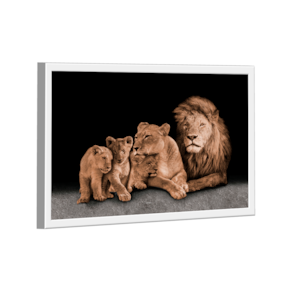 Quadro Perfect Family Variação -- BR ARTES