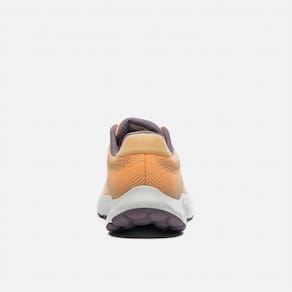 Tênis New Balance 520v8 Feminino Ref:w520zs8