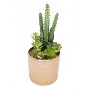 Vaso Decorativo Dourado Com Cactos E Suculenta Artificial 19x8 Cm F04 - D`rossi