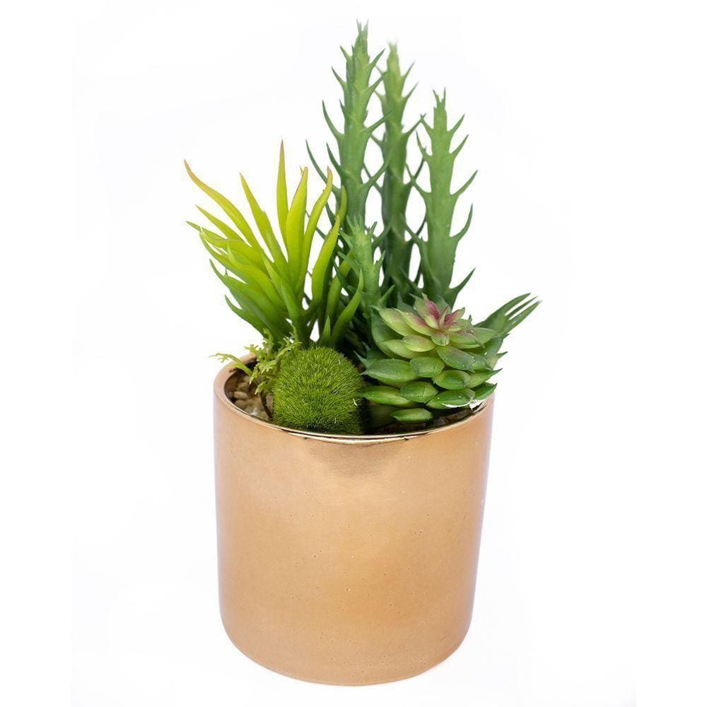 Vaso Decorativo Dourado Com Mix De Suculentas Artificiais 19x8 Cm F04 - D`rossi