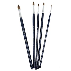 Kit de Pincéis ShinHan Redondo Artístico Shami 05 Peças