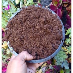 Substrato Turfa sphagnum Especial Adubo Orgânico 3 litros
