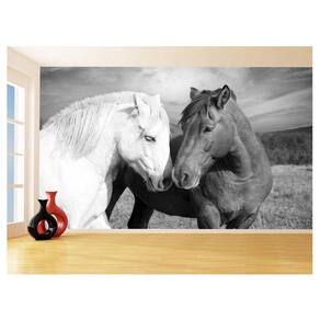 Papel De Parede Animais Casal Cavalos Fazenda 3,5M Anm344