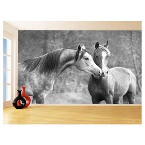 Papel De Parede Animais Casal Cavalos Fazenda 3,5M Anm316