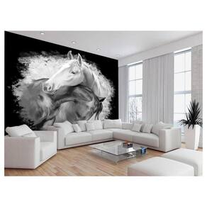 Papel De Parede Animais Casal Cavalos Fazenda 3,5M Anm342