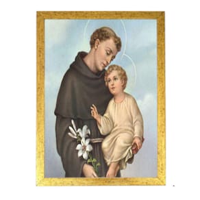 Quadro Religioso santo antonio Cristianismo DRD5665