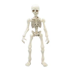 Novo esqueleto móvel estranho e engraçado modelo humano esqueleto de corpo inteiro mini-boneca brinquedo 3pcs