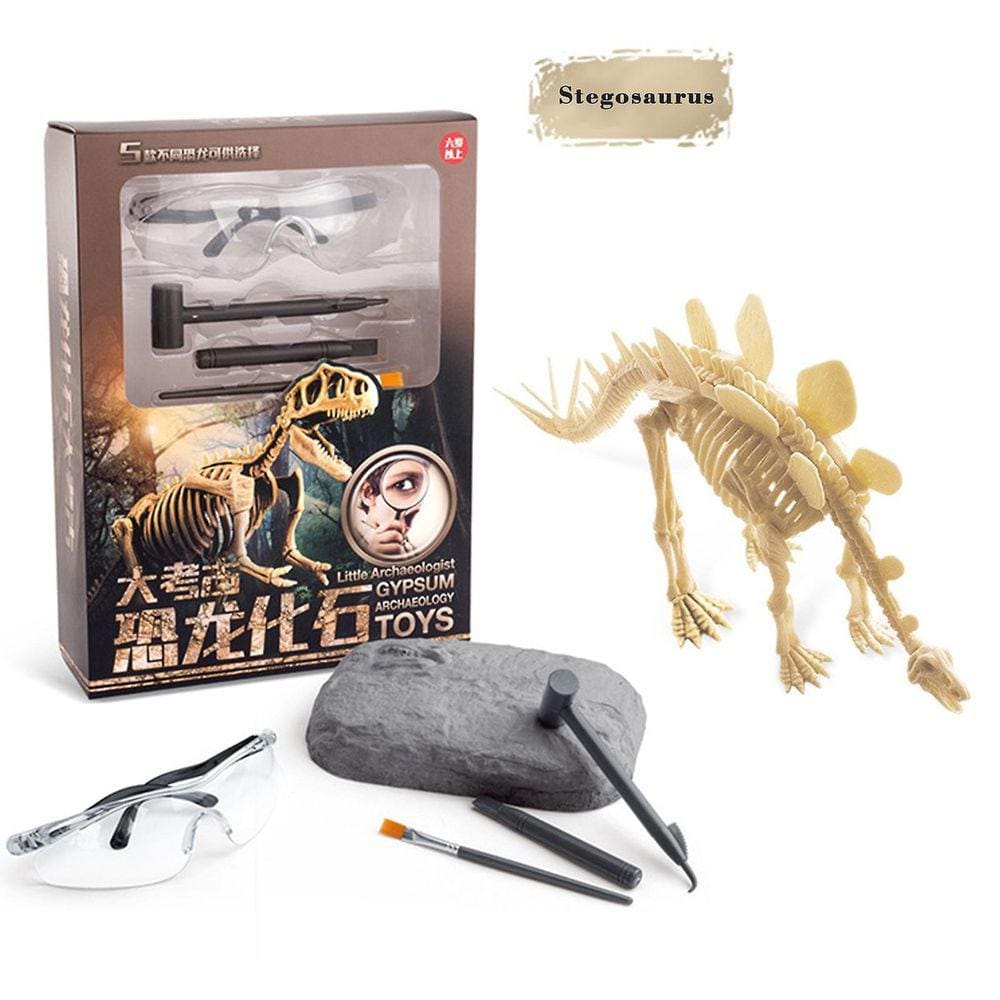 Brinquedo de fóssil de dinossauro Brinquedo educativo de escavação arqueológica