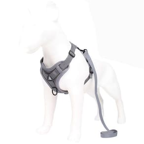 Cão pequeno respirável Arre aproveita coleira andando cão de coleira vest-s