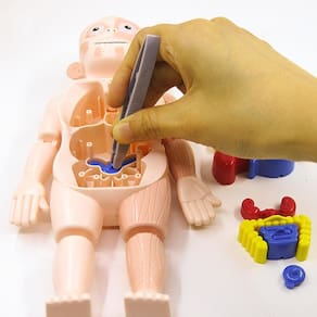 Montessori 3d Puzzle Corpo Humano Brinquedo Educacional Aprendizagem EDUCACIONAL DIY Kits brinquedos ferramentas de ensino de órgãos corporais para cr