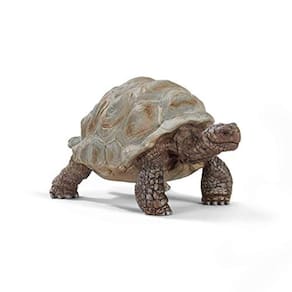 Schleich Vida Selvagem, Estatueta de Animais, Brinquedos de animais para meninos
