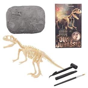 Conjunto de esqueleto de dinossauro de escavação Brinquedo de realização de educação fóssil de escavação de dinossauro