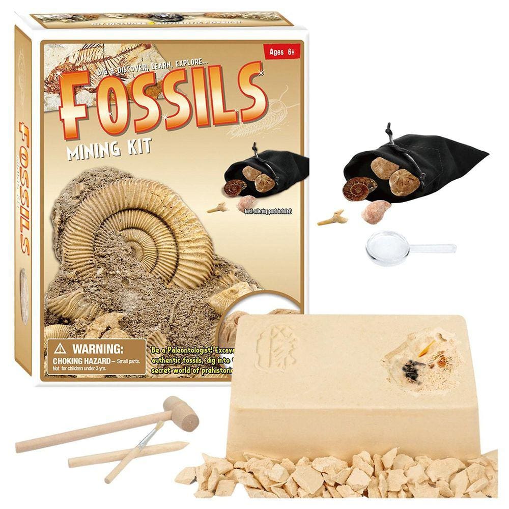 Criativo DIY Digging Crystal Pirate Treasure Archeology Quebra-cabeça infantil