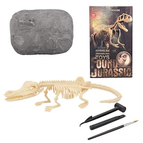 Conjunto de esqueleto de dinossauro de escavação Brinquedo de realização de educação fóssil de escavação de dinossauro