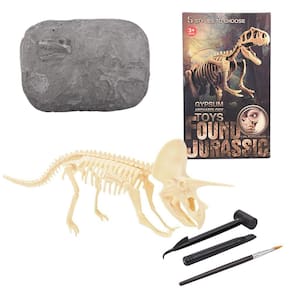 Conjunto de esqueleto de dinossauro de escavação Brinquedo de realização de educação fóssil de escavação de dinossauro