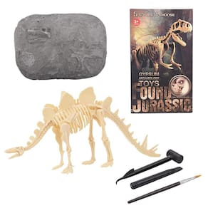 Conjunto de esqueleto de dinossauro de escavação Brinquedo de realização de educação fóssil de escavação de dinossauro