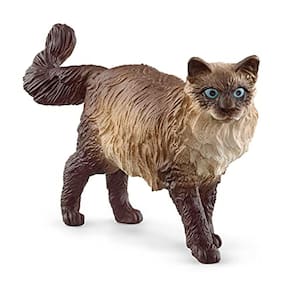 Schleich Farm World, brinquedos bonitos realistas do gato para crianças, idade