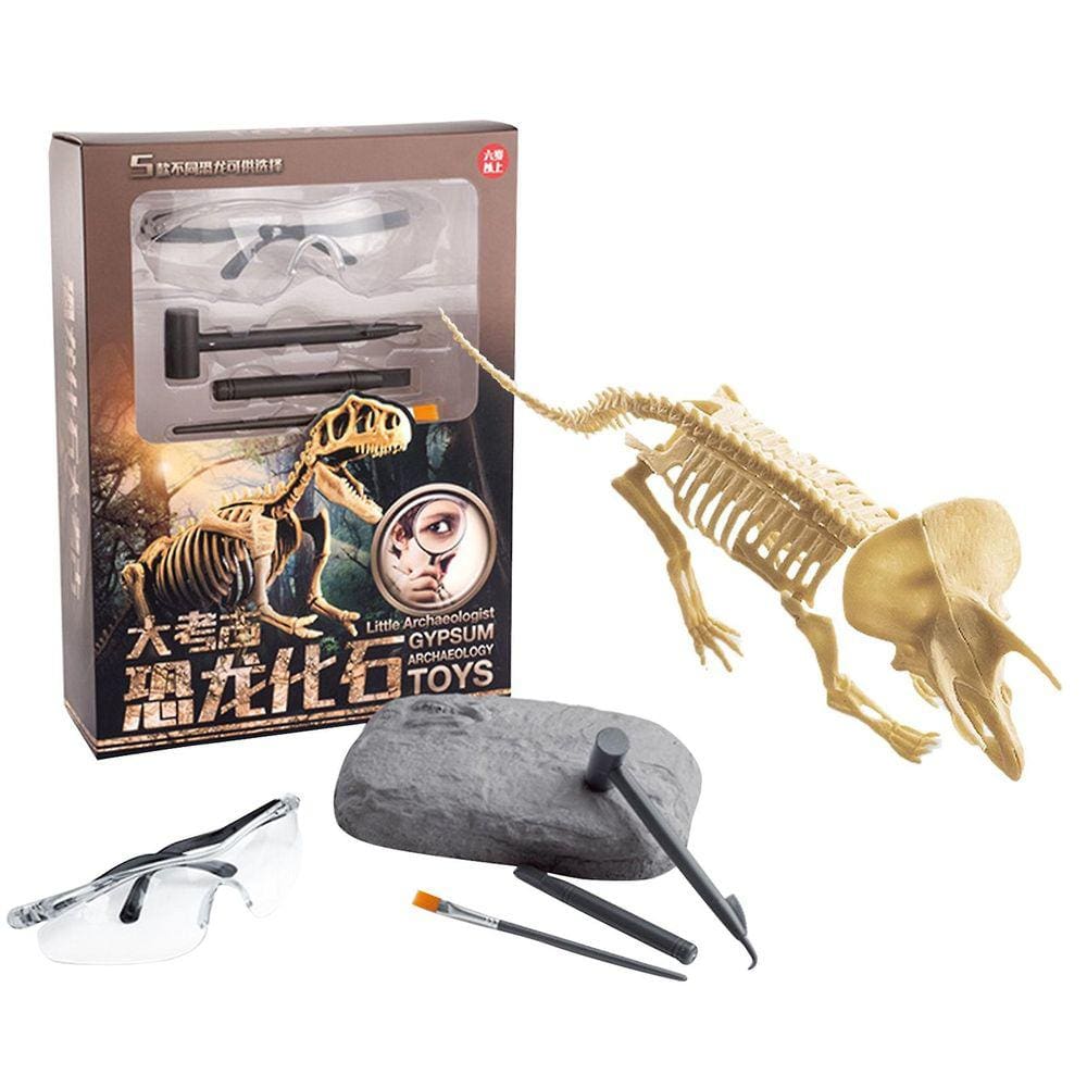 Brinquedo de fóssil de dinossauro Brinquedo educativo de escavação arqueológica
