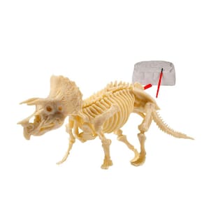 Kit Kit de jogo de escavação de fósseis de dinossauro Conjunto de atividades para crianças Dino Sandbox